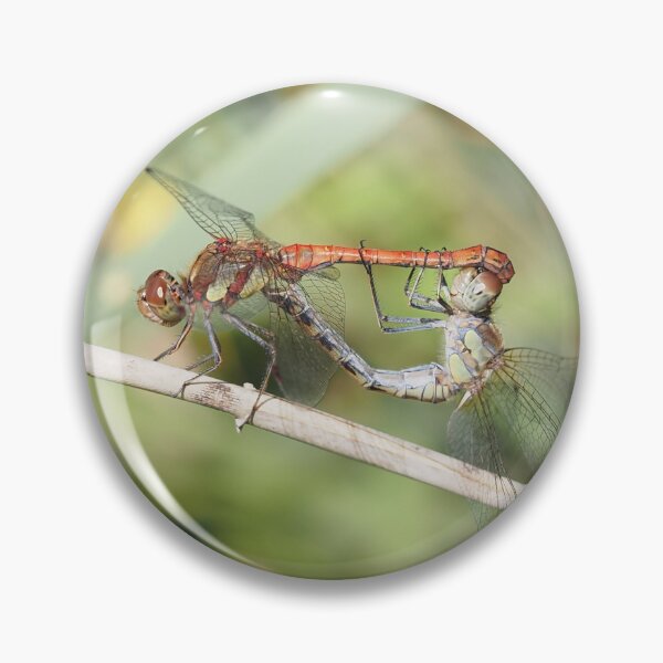 Item preview, Dragonfly reproduction designed and sold by Syr'photographies.