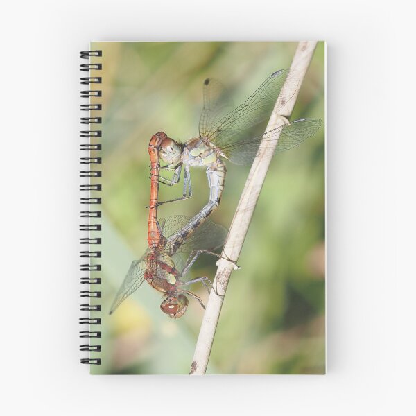 Item preview, Dragonfly reproduction designed and sold by Syr'photographies.