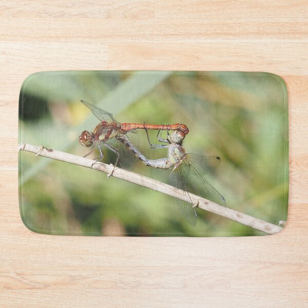 Item preview, Dragonfly reproduction designed and sold by Syr'photographies.
