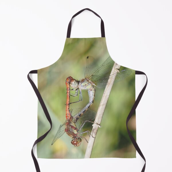 Item preview, Dragonfly reproduction designed and sold by Syr'photographies.