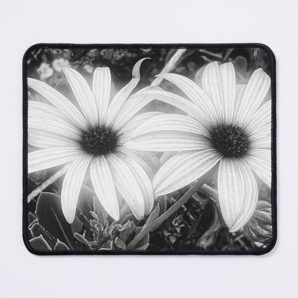 Item preview, Cape Rain Daisy Flower designed and sold by Marco Sales.