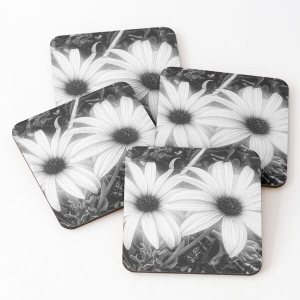 Item preview, Cape Rain Daisy Flower designed and sold by Marco Sales.