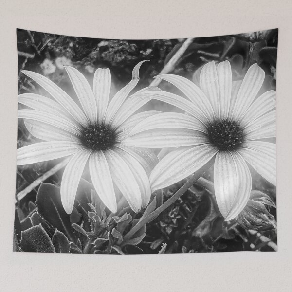 Item preview, Cape Rain Daisy Flower designed and sold by Marco Sales.