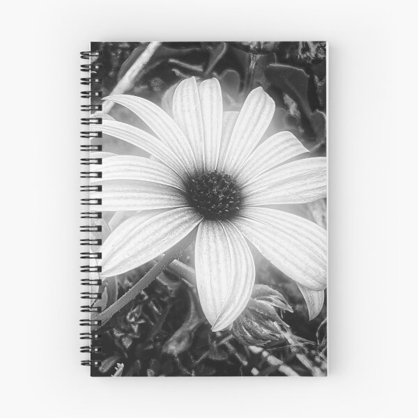Item preview, Cape Rain Daisy Flower designed and sold by Marco Sales.