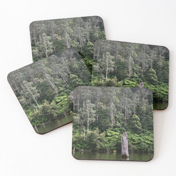 Item preview, Lake Elizabeth, Victoria, Australia designed and sold by Michael Efford.