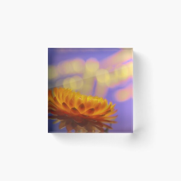 Item preview, Strawflower 2 designed and sold by Veikko  Suikkanen.