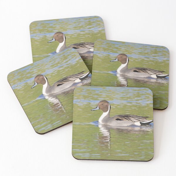 Item preview, Northern Pintail designed and sold by LaurenTucker.