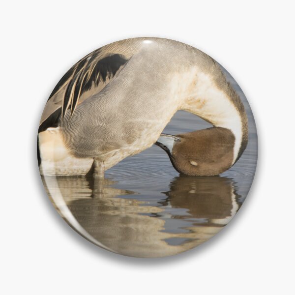 Item preview, Northern Pintail designed and sold by LaurenTucker.