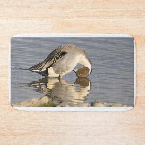 Item preview, Northern Pintail designed and sold by LaurenTucker.
