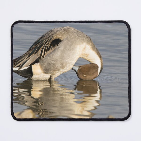 Item preview, Northern Pintail designed and sold by LaurenTucker.