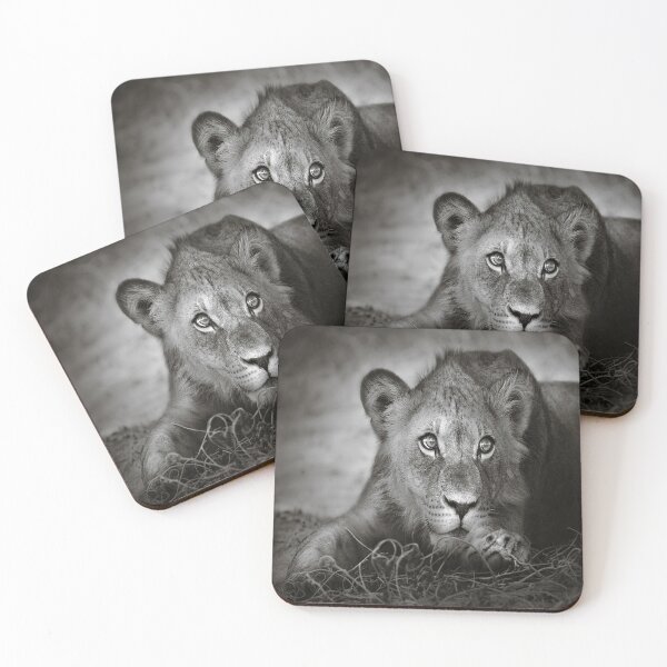 Item preview, African lion designed and sold by Williamonart.