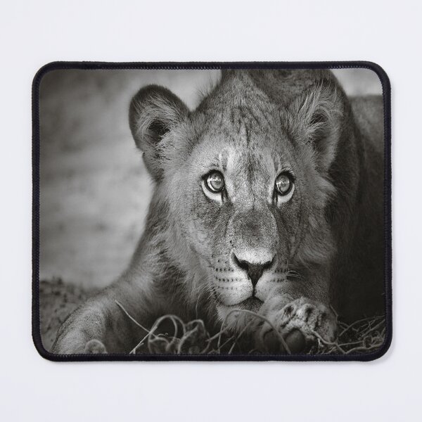 Item preview, African lion designed and sold by Williamonart.