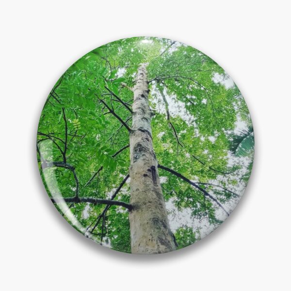 Item preview, beautiful tree designed and sold by Stickerzies.