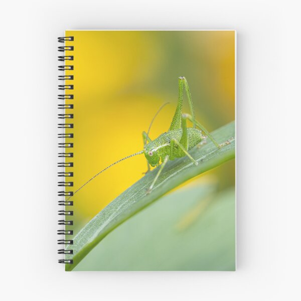 Item preview, Young grasshopper in the light designed and sold by Annika Westgeest.