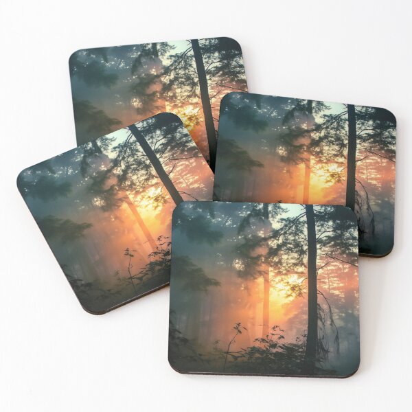 Item preview, Misty forest at sunset long exposure - Landscape photography designed and sold by TheArtistOf2022.