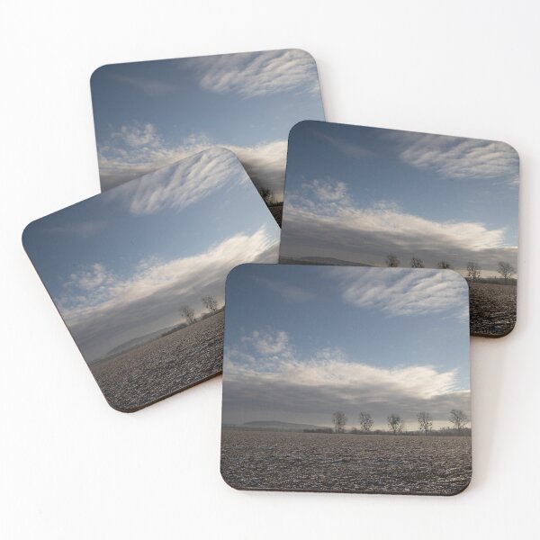 Item preview, Poplars designed and sold by Calidris Fotografie Steffi & Ben Köppler.