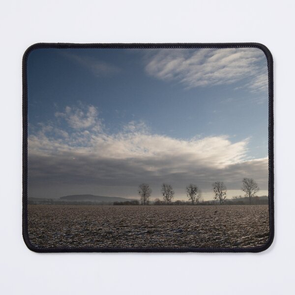 Item preview, Poplars designed and sold by Calidris Fotografie Steffi & Ben Köppler.