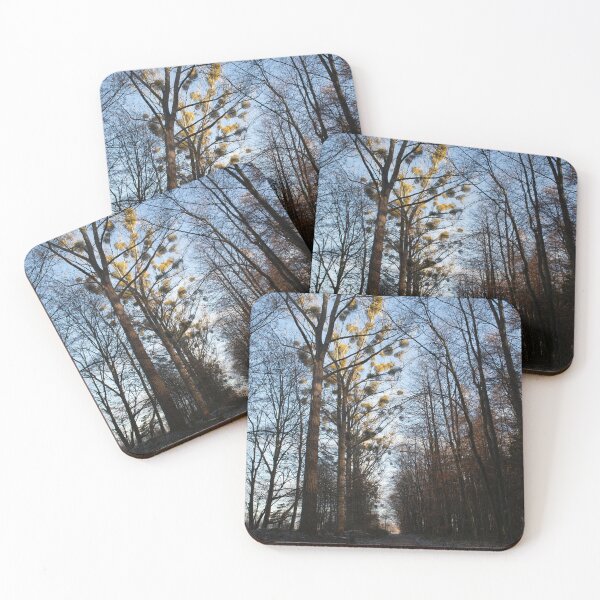 Item preview, Mistletoe designed and sold by Calidris Fotografie Steffi & Ben Köppler.