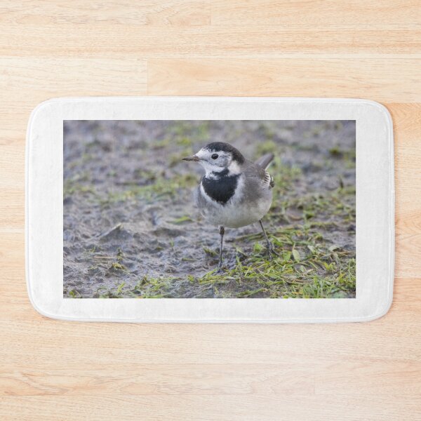 Item preview, Pied Wagtail designed and sold by LaurenTucker.