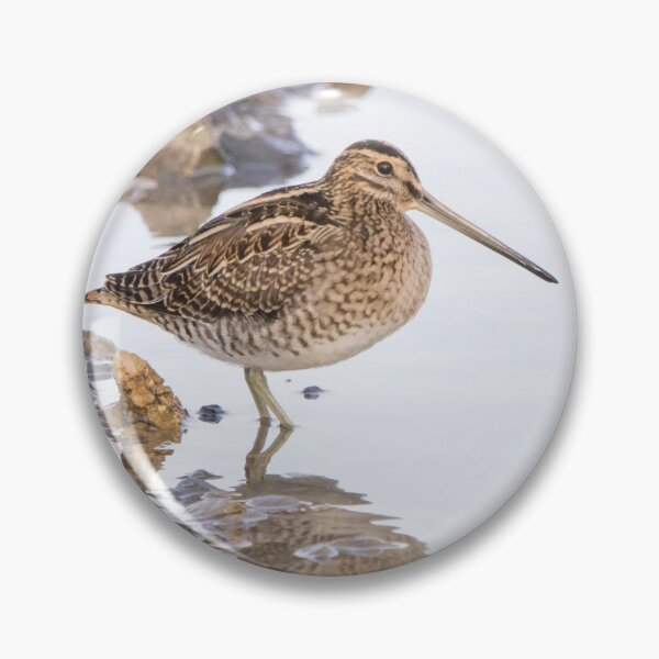 Item preview, Common Snipe designed and sold by LaurenTucker.