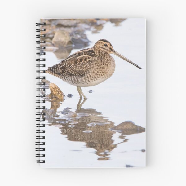Item preview, Common Snipe designed and sold by LaurenTucker.