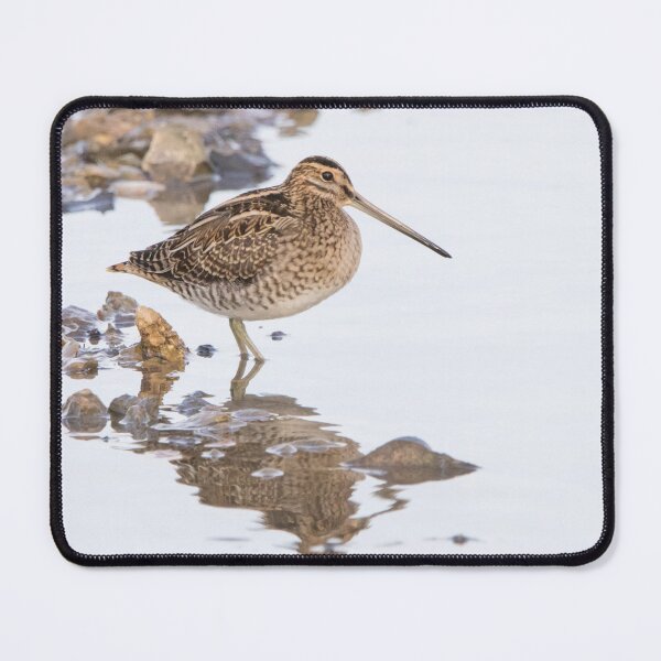 Item preview, Common Snipe designed and sold by LaurenTucker.