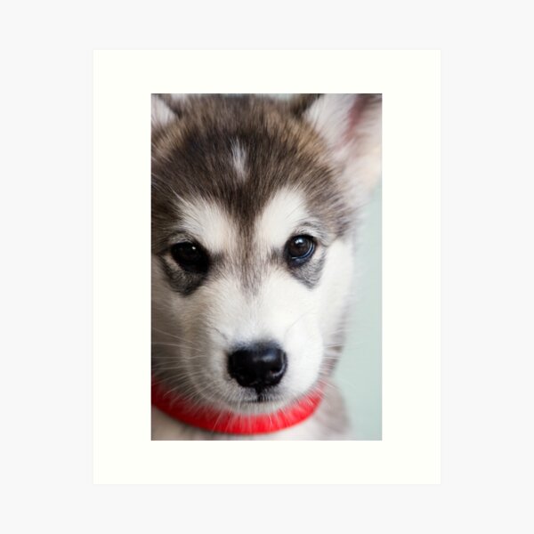 I'm so cute! Art Print