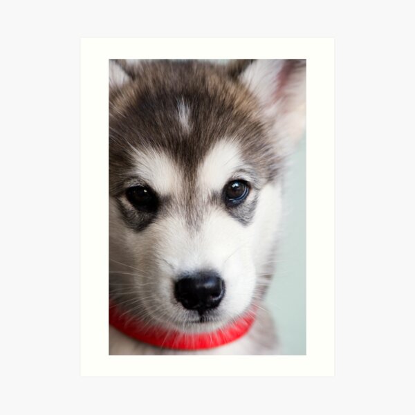 I'm so cute! Art Print