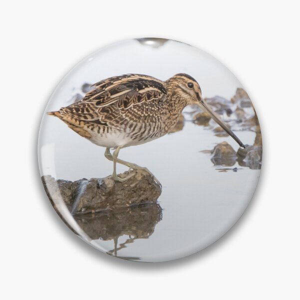 Item preview, Common Snipe designed and sold by LaurenTucker.