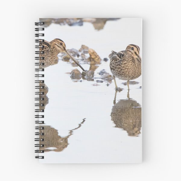 Item preview, Common Snipe designed and sold by LaurenTucker.