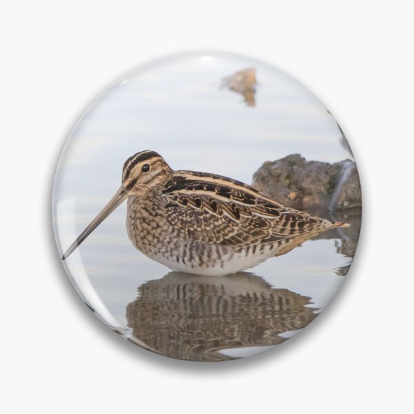 Item preview, Common Snipe designed and sold by LaurenTucker.