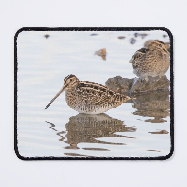 Item preview, Common Snipe designed and sold by LaurenTucker.