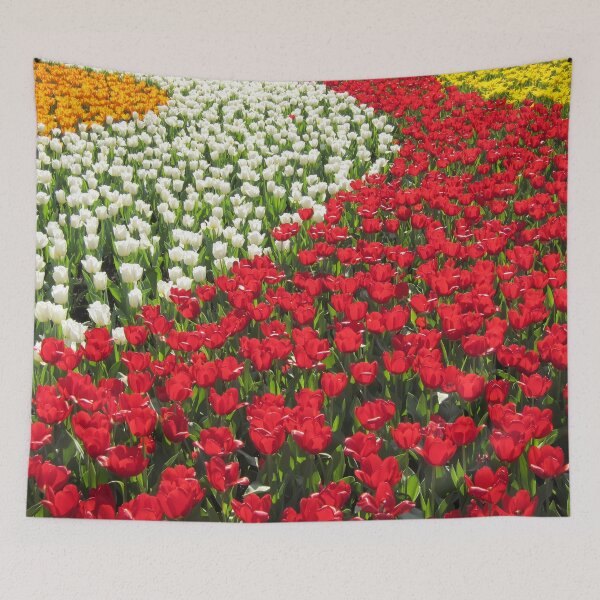 Item preview, Flower Fields of Tulip designed and sold by sakurashorty.