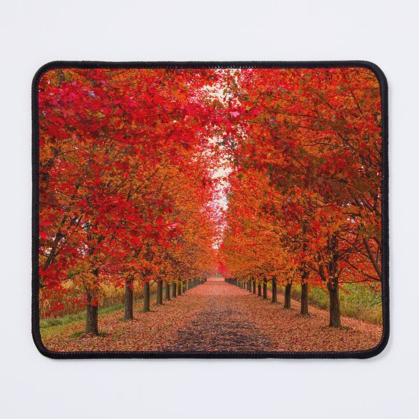 Item preview, Autumn on a country lane designed and sold by James Cumming.
