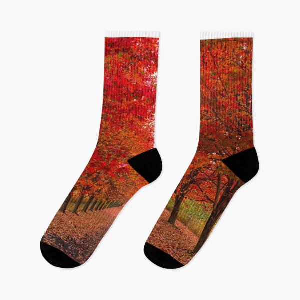 Item preview, Autumn on a country lane designed and sold by James Cumming.