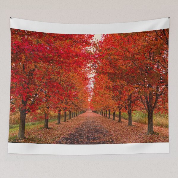 Item preview, Autumn on a country lane designed and sold by James Cumming.