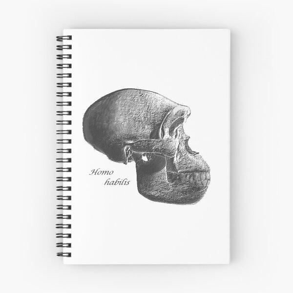 Item preview, Homo Habilis Skull designed and sold by StudioEmilia.