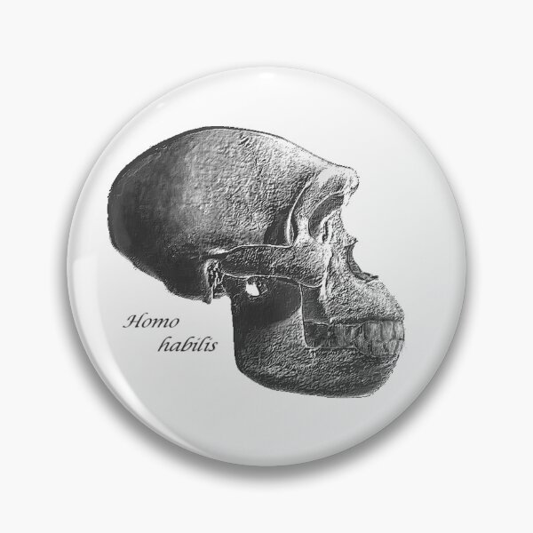 Item preview, Homo Habilis Skull designed and sold by StudioEmilia.