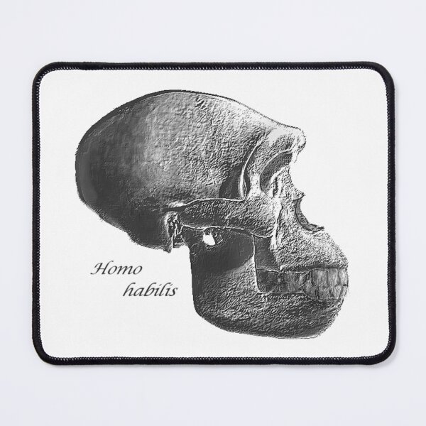 Item preview, Homo Habilis Skull designed and sold by StudioEmilia.