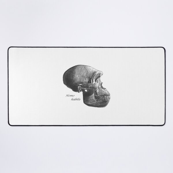 Item preview, Homo Habilis Skull designed and sold by StudioEmilia.
