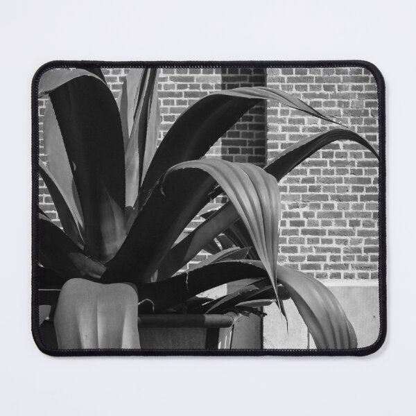 Item preview, The Big Plant (My little friend) designed and sold by Imladris01.