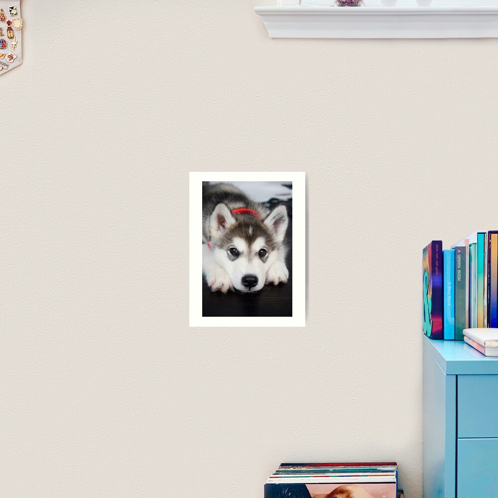 Look how cute I am Art Print