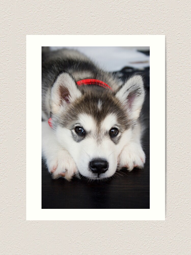 Alternate view of Look how cute I am Art Print