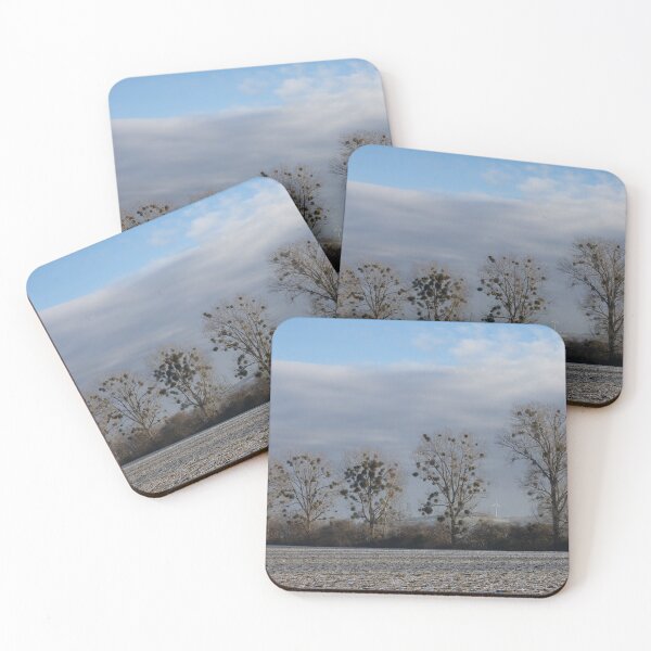 Item preview, Poplars designed and sold by Calidris Fotografie Steffi & Ben Köppler.