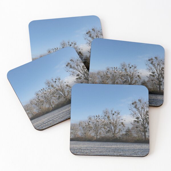 Item preview, Poplars designed and sold by Calidris Fotografie Steffi & Ben Köppler.