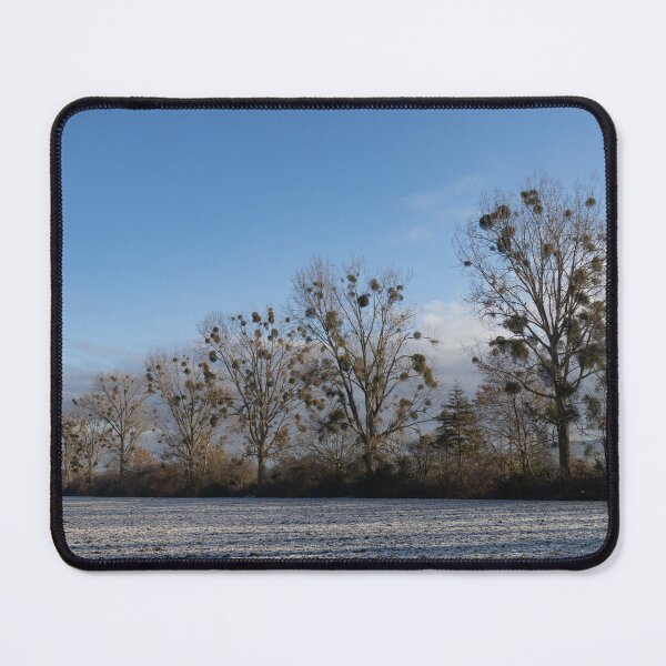 Item preview, Poplars designed and sold by Calidris Fotografie Steffi & Ben Köppler.