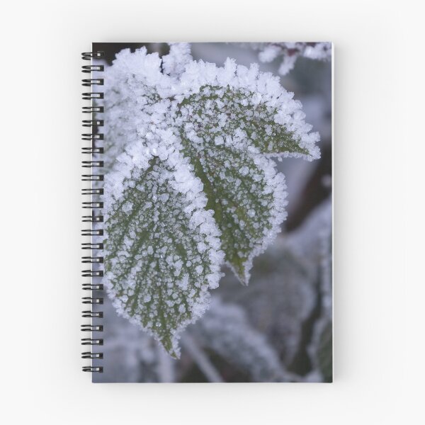 Item preview, Hoarfrost designed and sold by Calidris Fotografie Steffi & Ben Köppler.