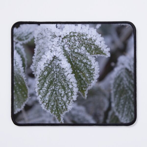 Item preview, Hoarfrost designed and sold by Calidris Fotografie Steffi & Ben Köppler.