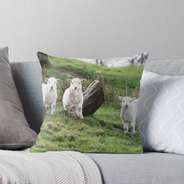 Item preview, Three Little Lambs designed and sold by Steve Purnell Photography.