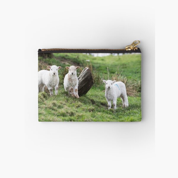Item preview, Three Little Lambs designed and sold by Steve Purnell Photography.